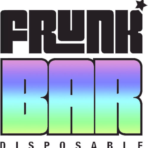 Frunk Bar Mesh Engångs Vape