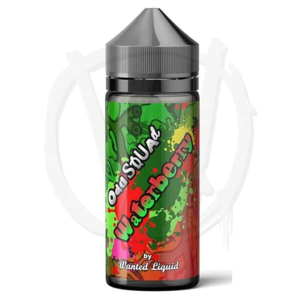 Odd Squad - Waterberry