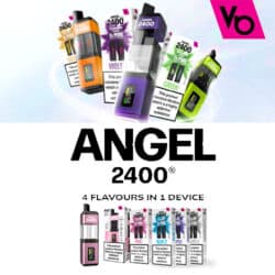Angel 2400
