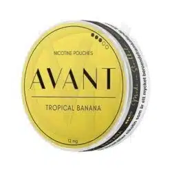 Avant Tropical Banana